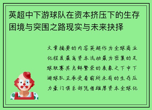 英超中下游球队在资本挤压下的生存困境与突围之路现实与未来抉择